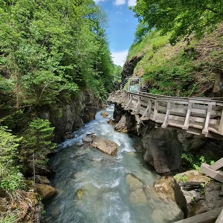 Appartamento Leontina *