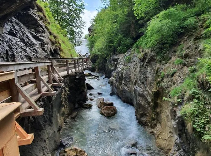 Leontina - With Air Conditioning And Summer Card * Kaprun