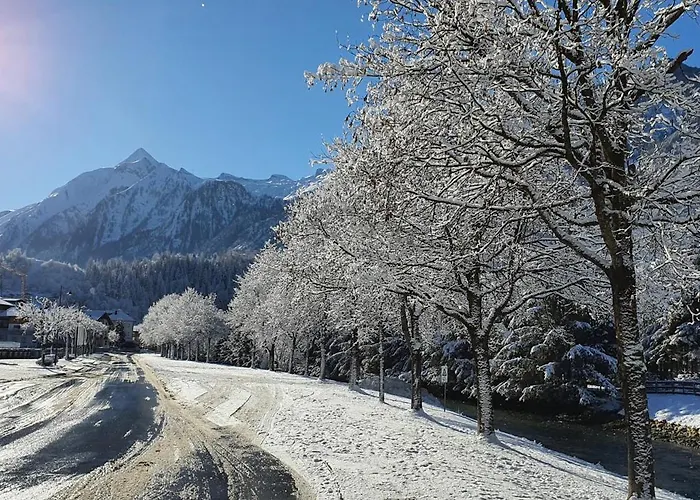 Leontina - With Air Conditioning And Summer Card *